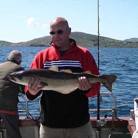 Sneem River Lodge Bed & Breakfast Εξωτερικό φωτογραφία